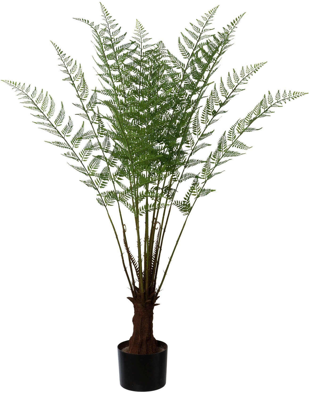 Kunstpflanze Baumfarn, Creativ green, Höhe 108 cm, im Kunststofftopf