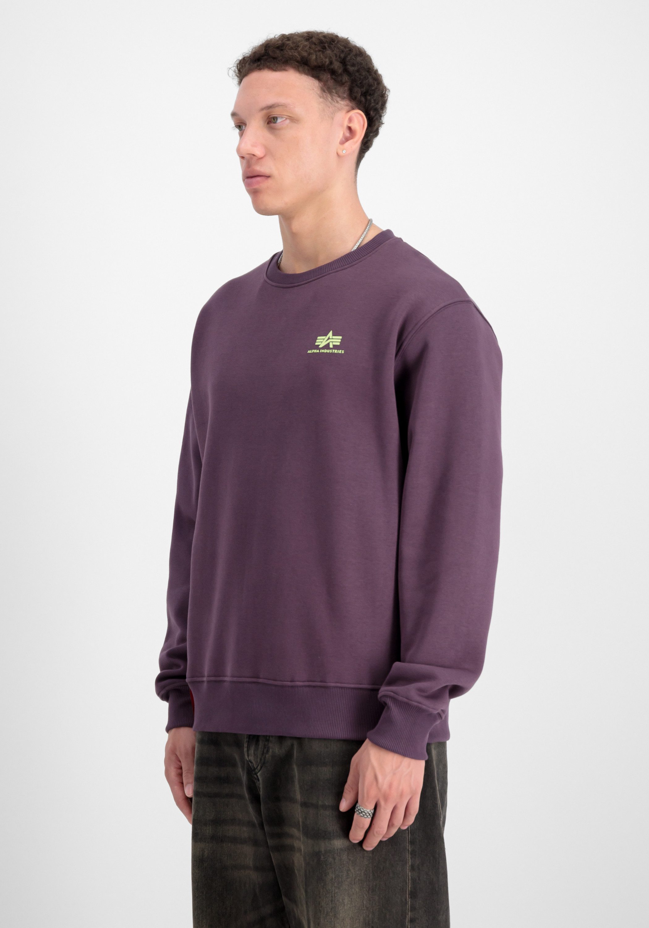Sweater Basic Sweatshirt SL