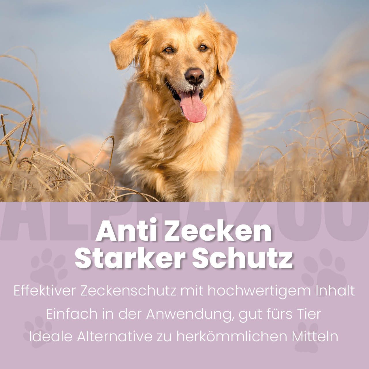 Thumbnail - ALPHAZOO Zeckenschutzmittel ZeckAttack Zeckenschutz Spray für Hunde, 100 ml, Effektiver Zeckenschutz mit natürlichem Inh...
