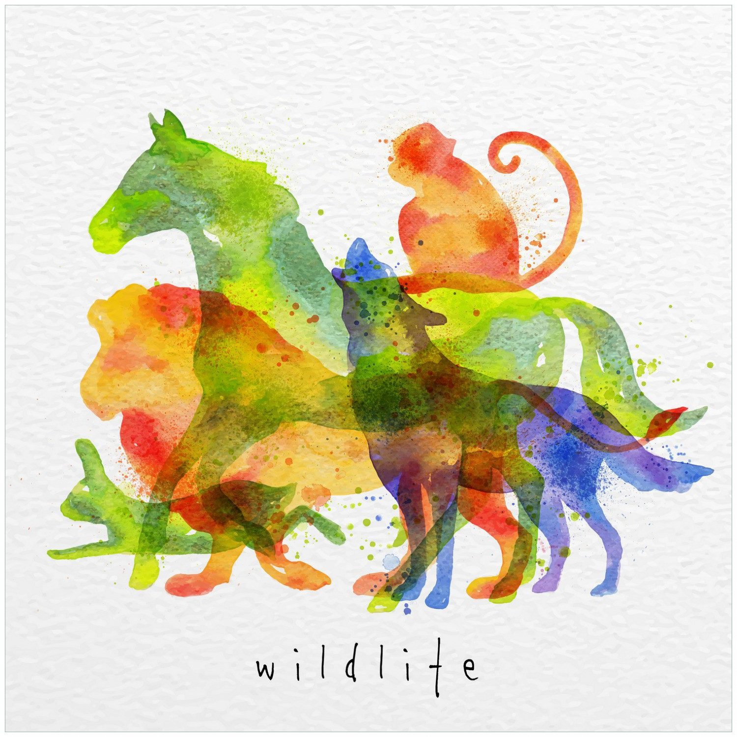 Wallario Möbelfolie Tierische Vielfalt in Farbe