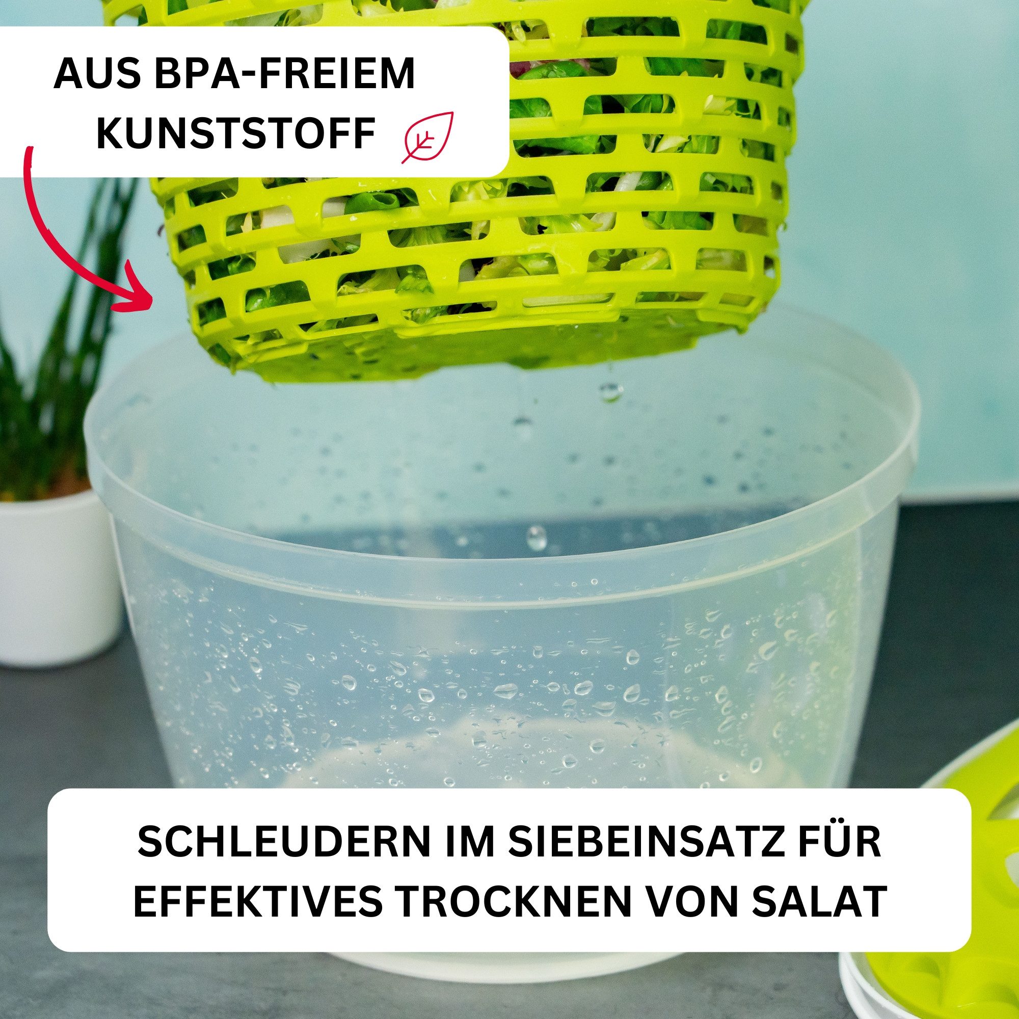 WESTMARK Salatschleuder Set: inkl. 1 Schüttelbecher, 0,25 Liter, Kunststoff, Spinderella