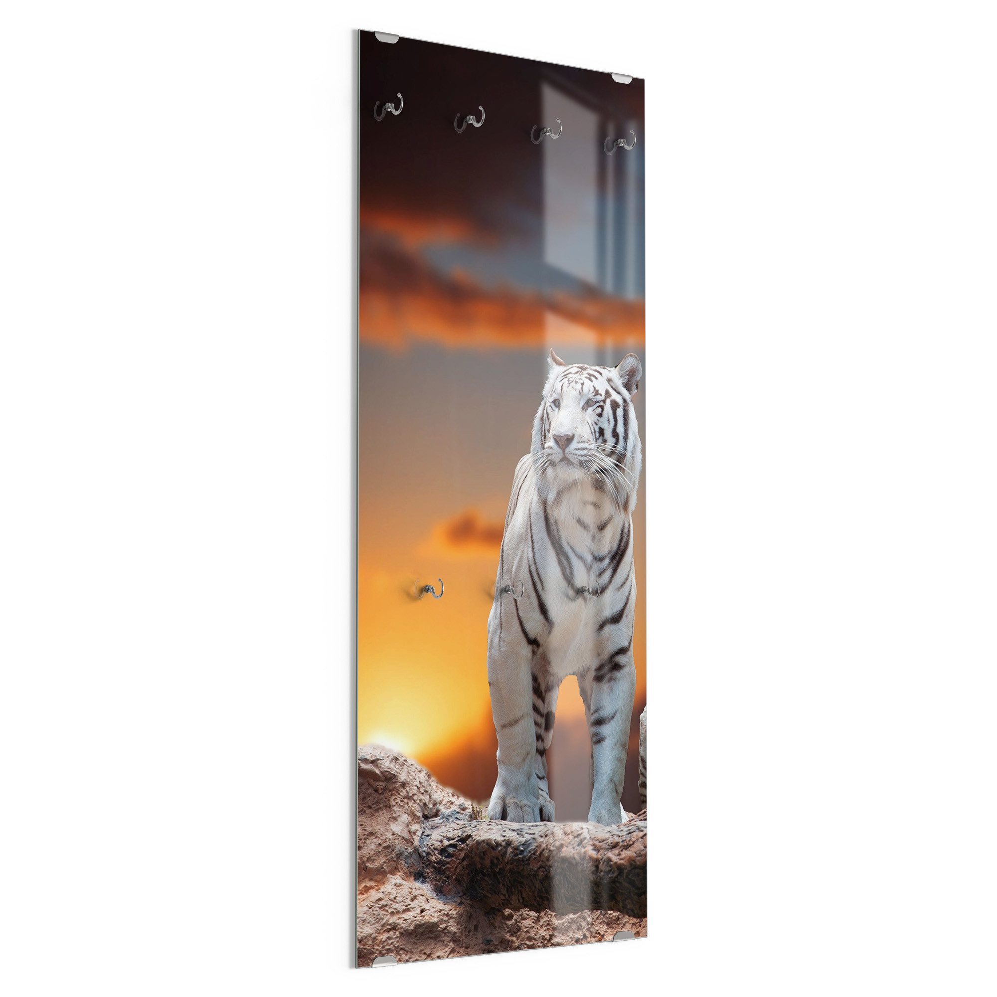 DEQORI Kleiderhaken 'Weiße Tiger im Abendlicht', Glas Garderobe hängend Flur Jackenhalter modern Wandgarderobe Haken