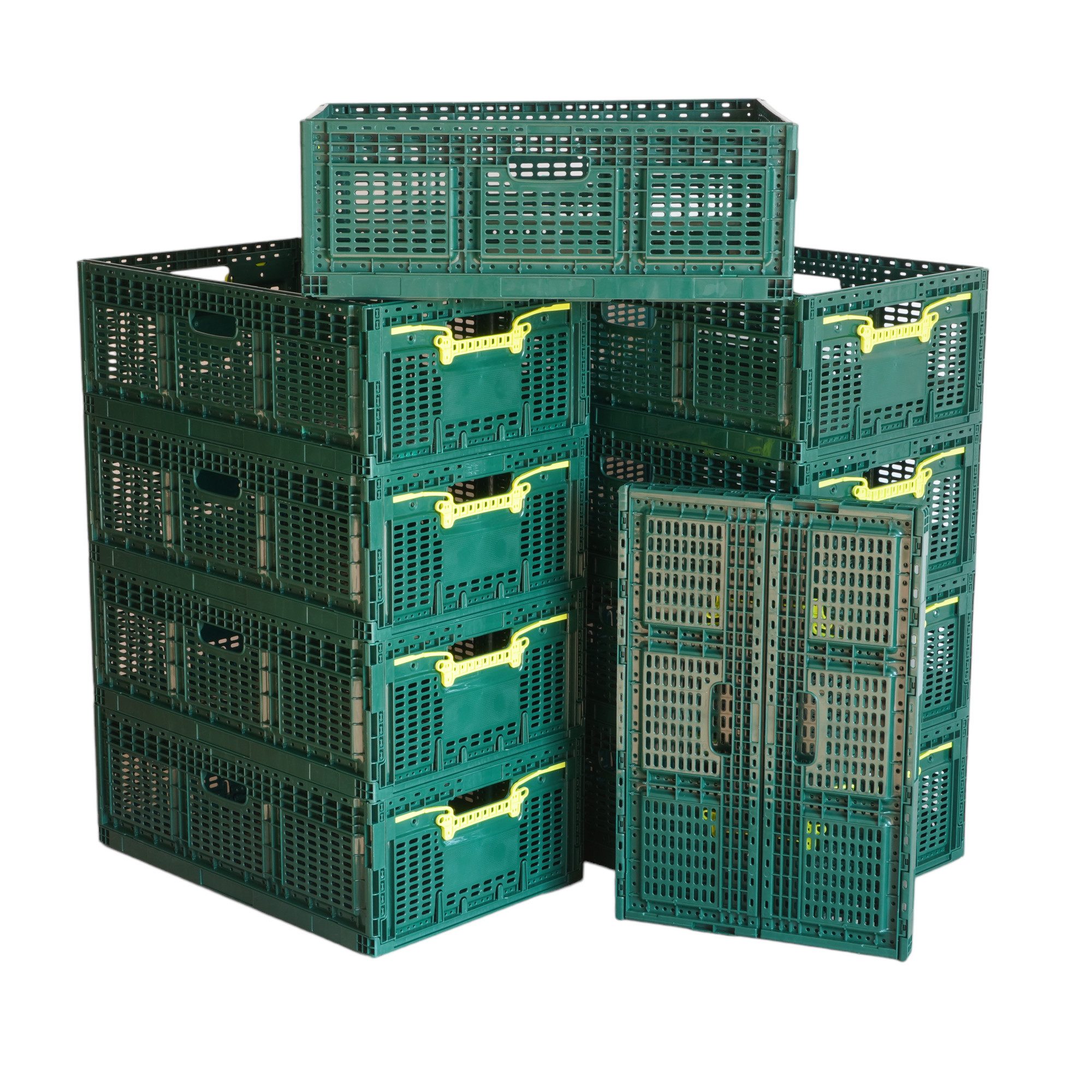 Logiplast Klappbox 10 stabile Einkaufskörbe / Klappkisten / Faltboxen, 46 l, Faltbar