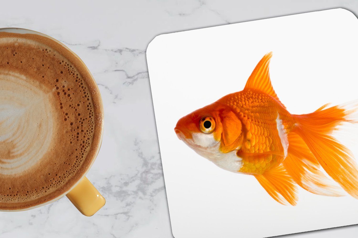 Tasse - Goldfisch Fisch 6-tlg., für MuchoWow Zubehör Korkuntersetzer, Untersetzer, Tischuntersetzer, Glasuntersetzer, Weiß, - Gläser, Glasuntersetzer