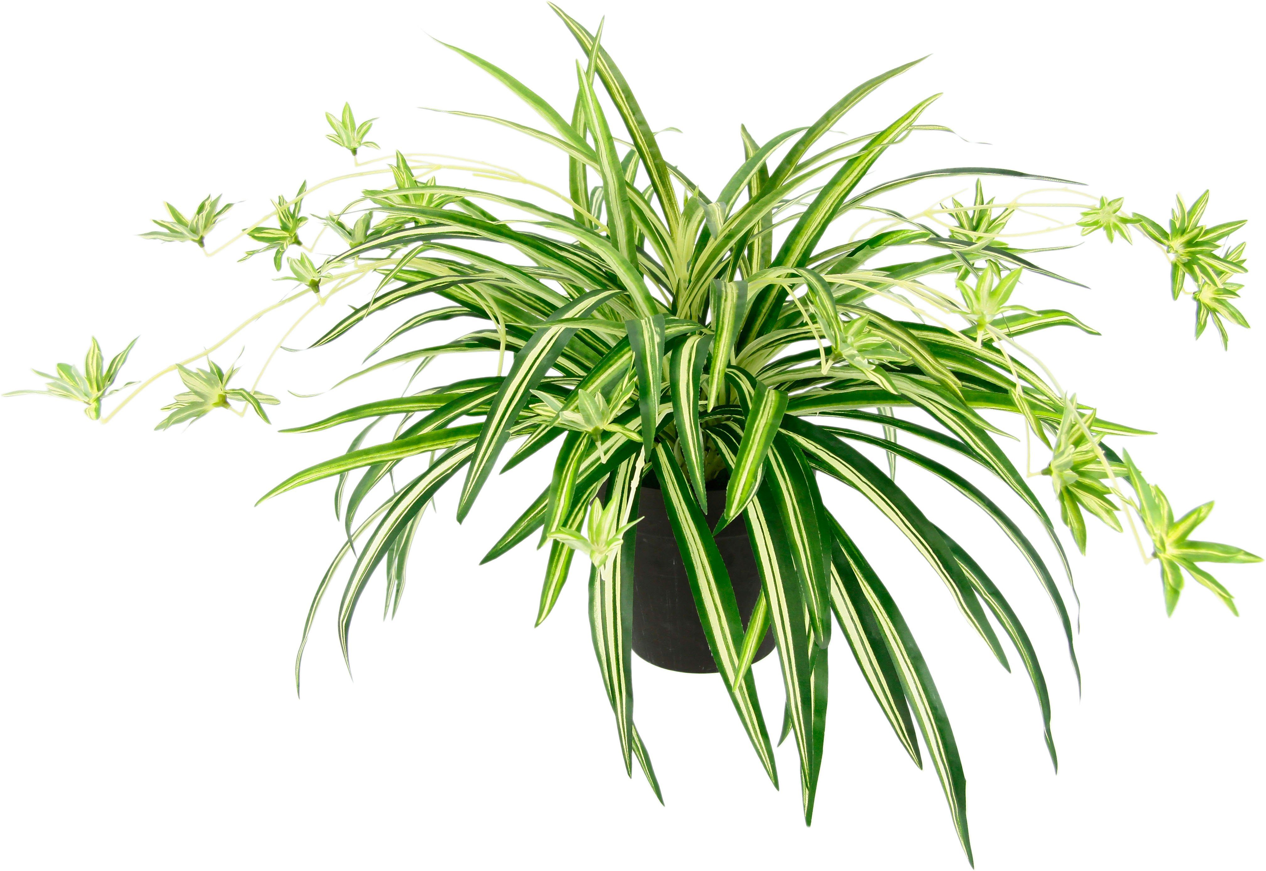 Im Höhe cm, Topf Kunstpflanze I.GE.A., Wasserlilie, 40