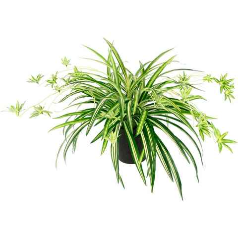 Kunstpflanze Wasserlilie, I.GE.A., Höhe 40 cm, Im Topf