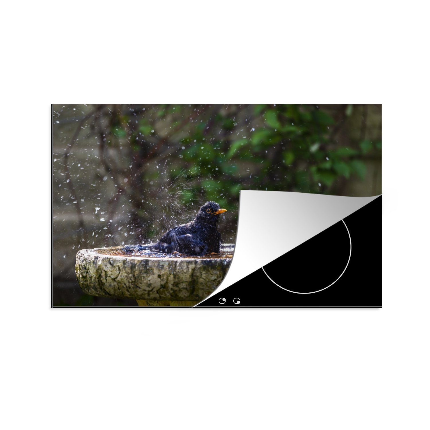 MuchoWow Herdblende-/Abdeckplatte Spatz - Vogeltränke - Wasser, Vinyl, (1 tlg), 81x52 cm, Induktionskochfeld Schutz für die küche, Ceranfeldabdeckung