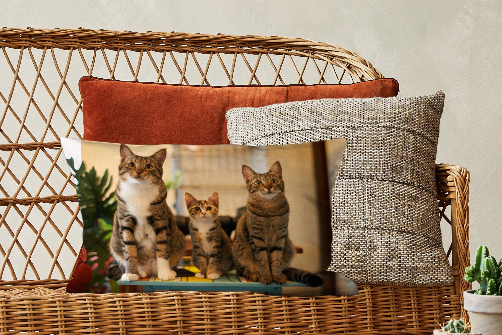 MuchoWow Dekokissen Drei Katzen Dekoration, kleinem Füllung, Tisch, mit Dekokissen auf Wohzimmer Schlafzimmer Zierkissen