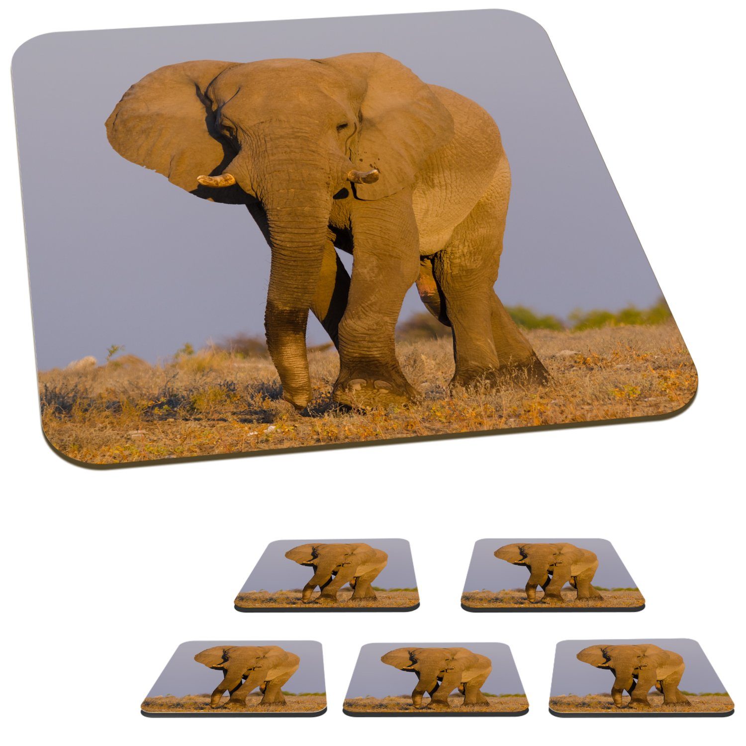 MuchoWow Glasuntersetzer Afrikanischer Elefant im Gläser, 6-tlg., Zubehör Sand, Tischuntersetzer, Glasuntersetzer, für Tasse Untersetzer, Korkuntersetzer