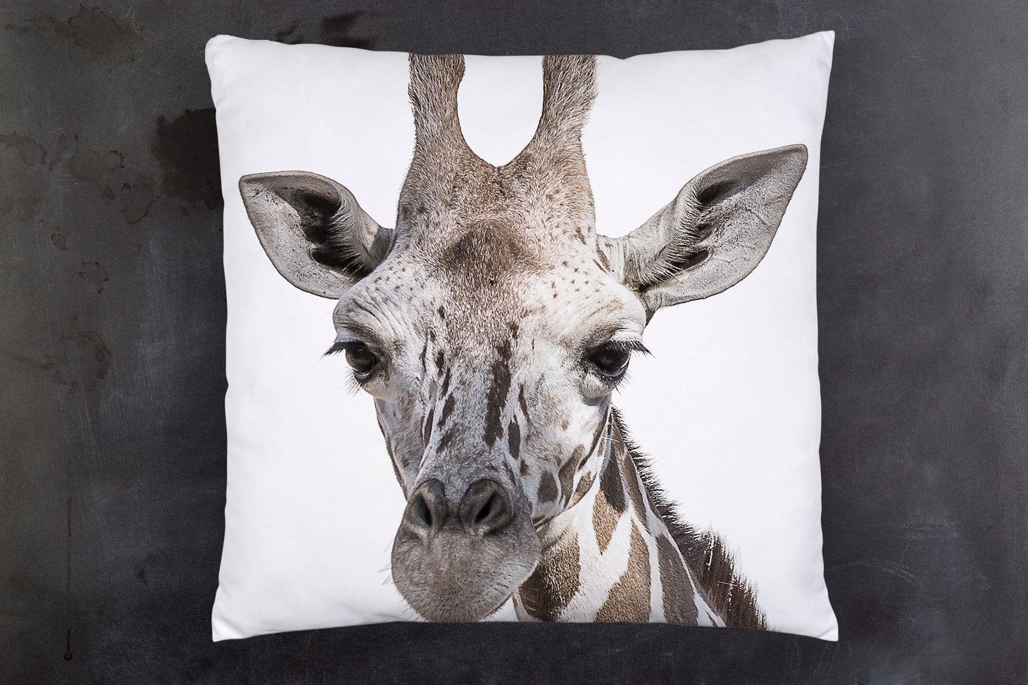 queence Dekokissen Giraffe, Kissenhülle mit HD Premium Druck, geruchsneutral, 40x40cm