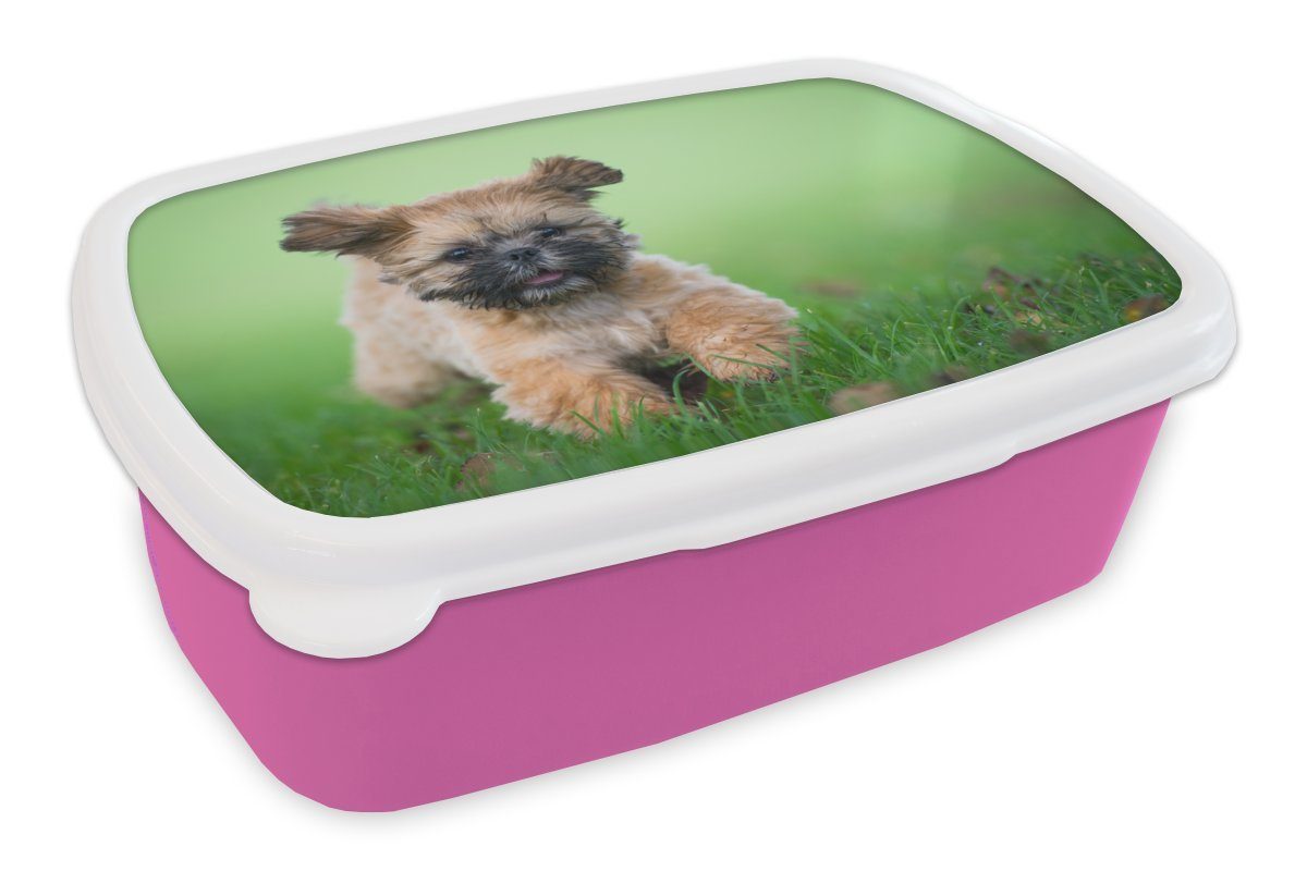 MuchoWow Lunchbox Ein niedlicher Shih Tzu Hund, der durch das Gras läuft, Kunststoff, (2-tlg), Brotbox für Erwachsene, Brotdose Kinder, Snackbox, Mädchen, Kunststoff rosa