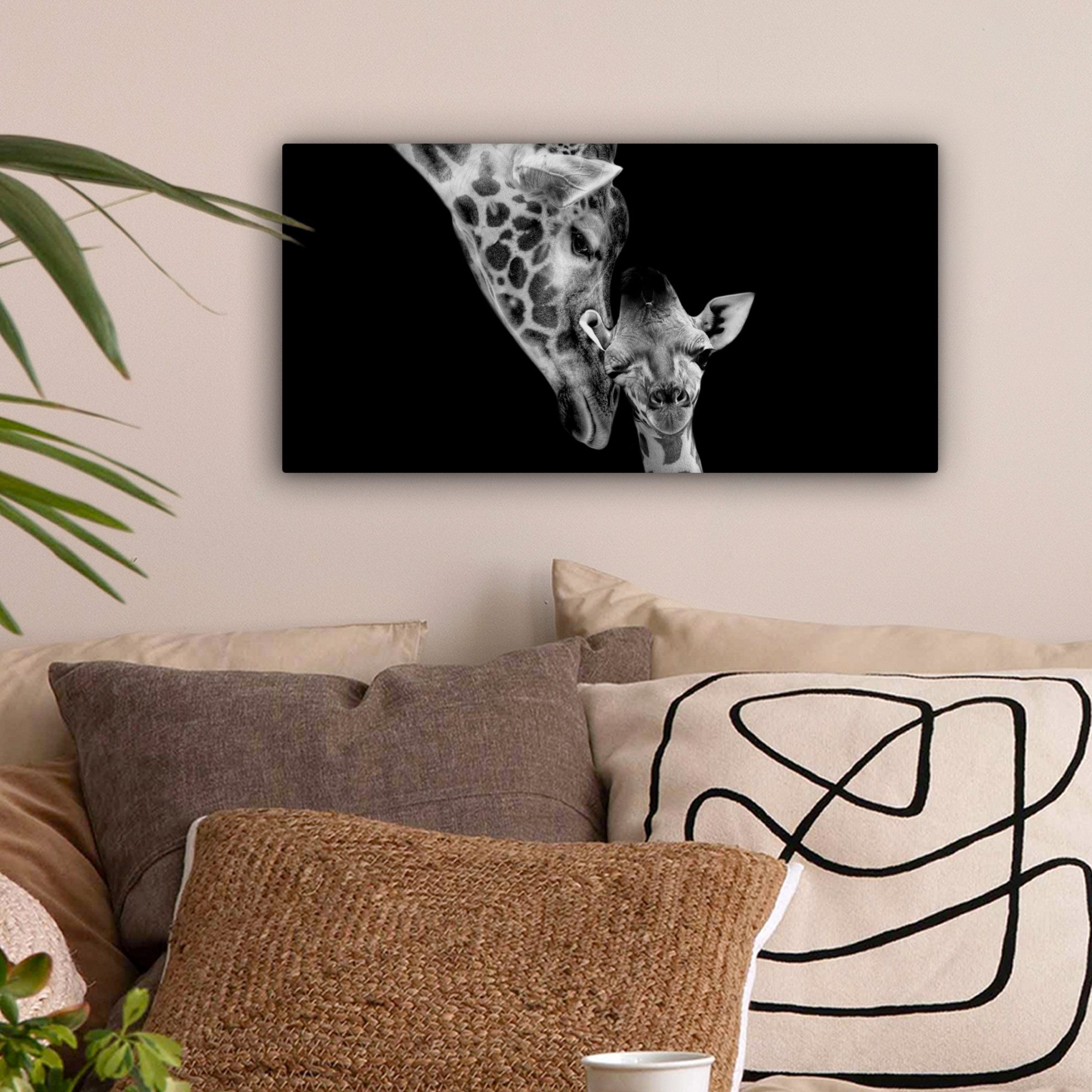 OneMillionCanvasses® Leinwandbild Panorama Porträt - Giraffe günstig online kaufen