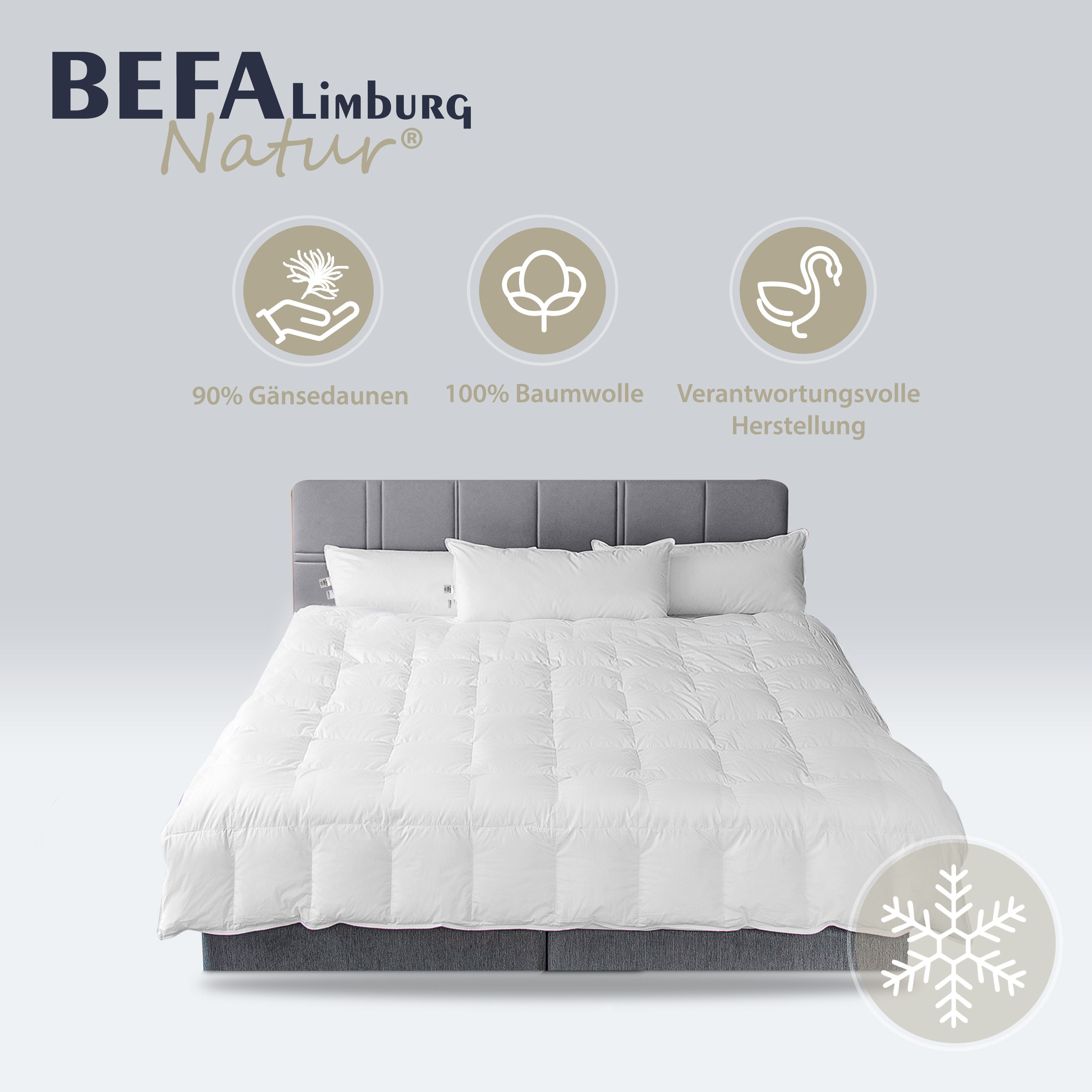 BEFA NATUR Gänsedaunenbettdecke kuschelige, warme 90/10 Premium-Gänsedaunen-Winterdecke, Füllung: 90% Gänsedaunen, 10% Federn, Bezug: Baumwolle, Made in Germany - hochwertige Daunendecke - Allergiker geeignet