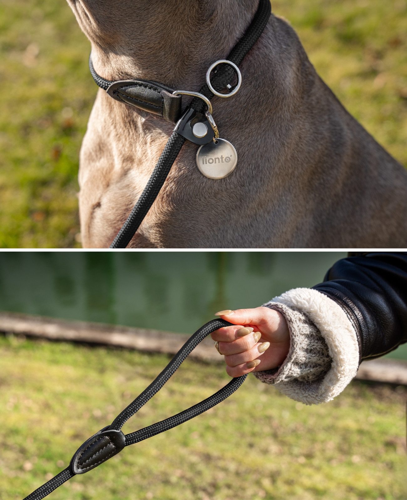 lionto Moxonleine mit Zugbegrenzung & Stopper 120 cm, Nylon, Lederimitat (1-tlg), Retrieverleine, sicher, stylisch & vegan