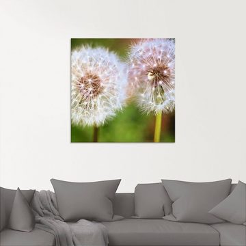 Artland Glasbild Pusteblume Zweisamkeit, Blumen (1 St), in verschiedenen Größen