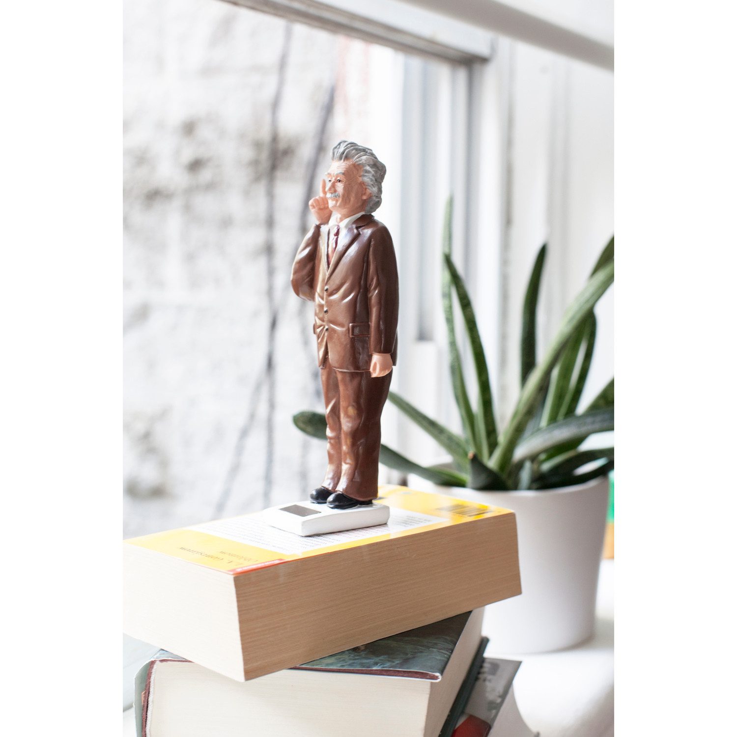 Kikkerland Dekofigur Solarfigur Albert Einstein günstig online kaufen