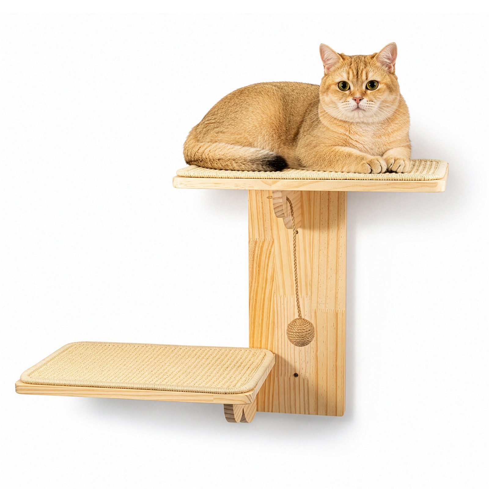 Youyijia Kleintierklettergerüst Wandmontiertes Katzenregal 2 Ebenen aus Kautschukholz baumförmig