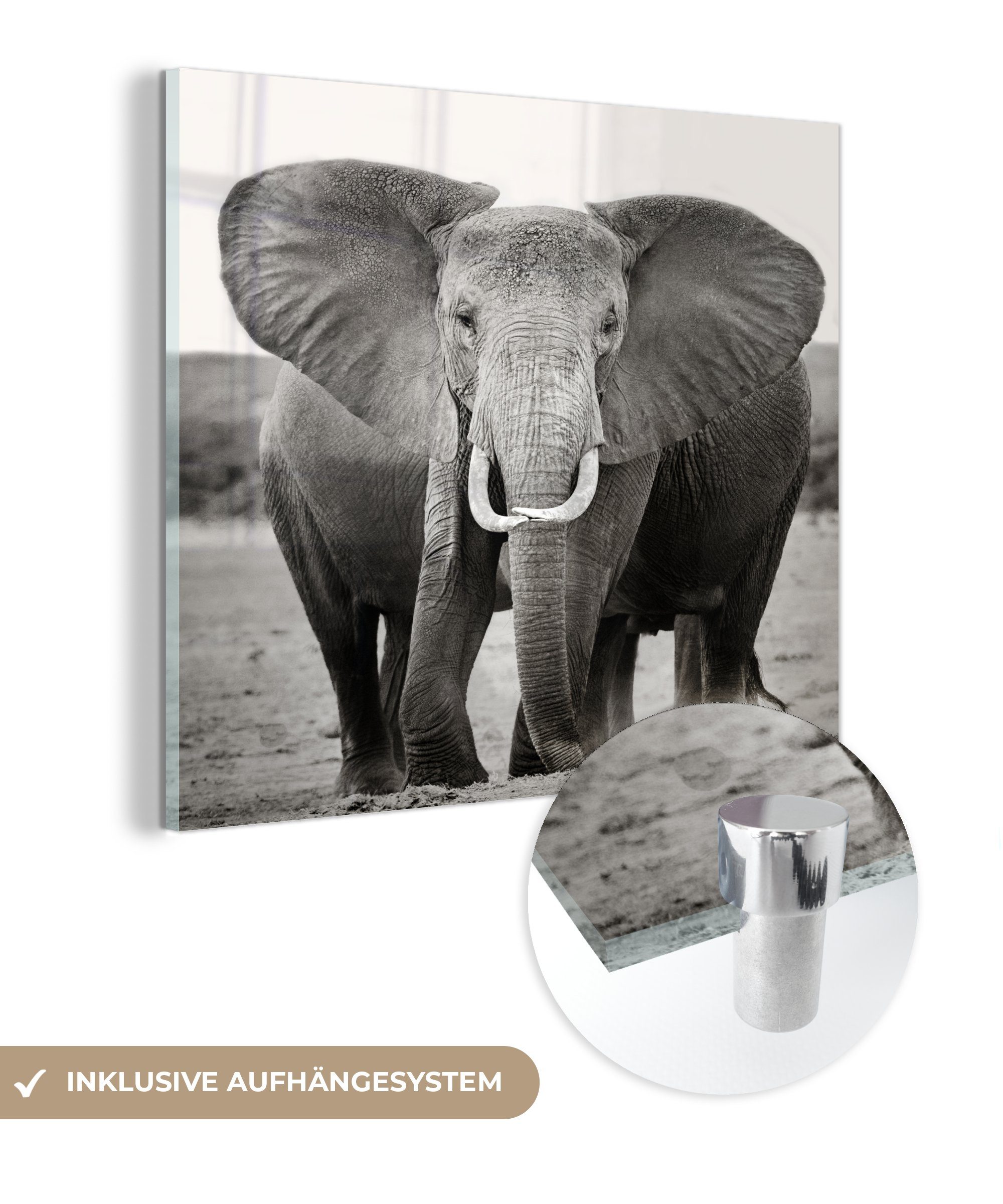 Acrylglasbild (1 Glas - Foto MuchoWow Elefanten, - Wanddekoration Bilder Glasbilder Optische - auf Glas von Wandbild St), auf Täuschung