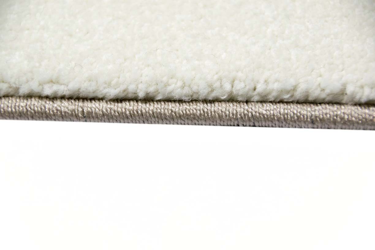 TeppichHome24 Kinderteppich Kinderteppich bunte Tiere mit Bär Fuchs Hase Igel Eule Vögel, rechteckig, Höhe: 1.3 mm