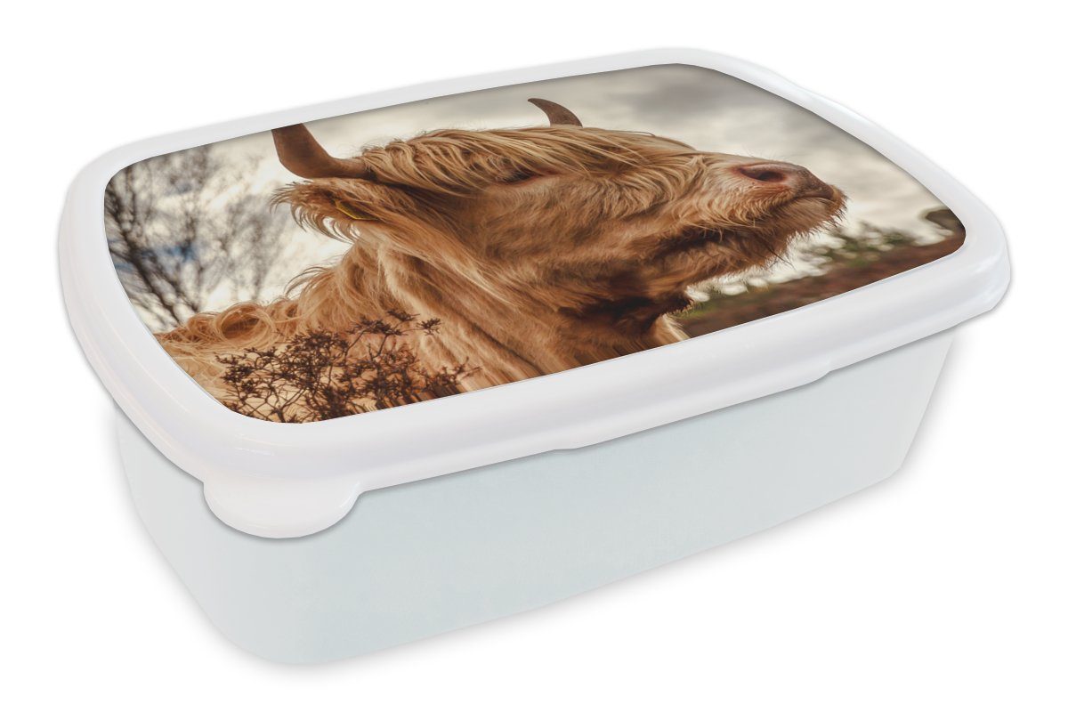 MuchoWow Lunchbox Scottish Highlander - Strauch - Heidekraut, Kunststoff, (2-tlg), Brotbox für Kinder und Erwachsene, Brotdose, für Jungs und Mädchen weiß