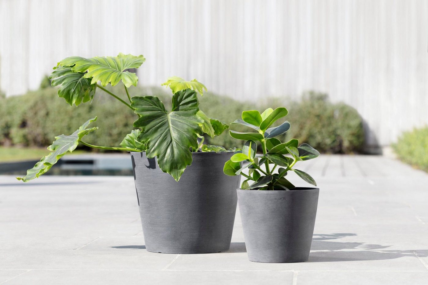 Thumbnail - ECOPOTS Blumentopf Amsterdam, ØxH: 30x26,3 cm