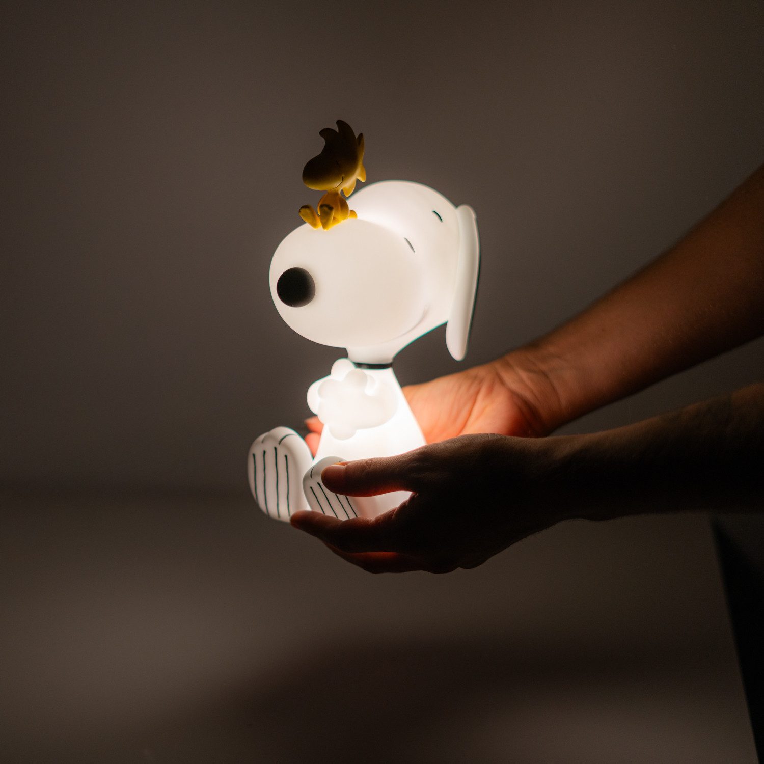 Grupo Erik LED Dekolicht Peanuts Snoopy & Woodstock 3D LED-Dekolampe, LED fest integriert, Weiß – Bild 4 von 5