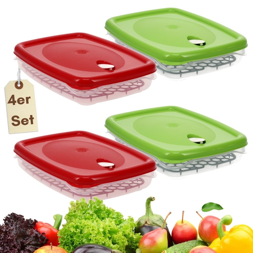 GarPet Frischhaltedose 4er Set Frischhaltedosen mit Deckel Abtropfgitter Gefrierdosen 2,5 L