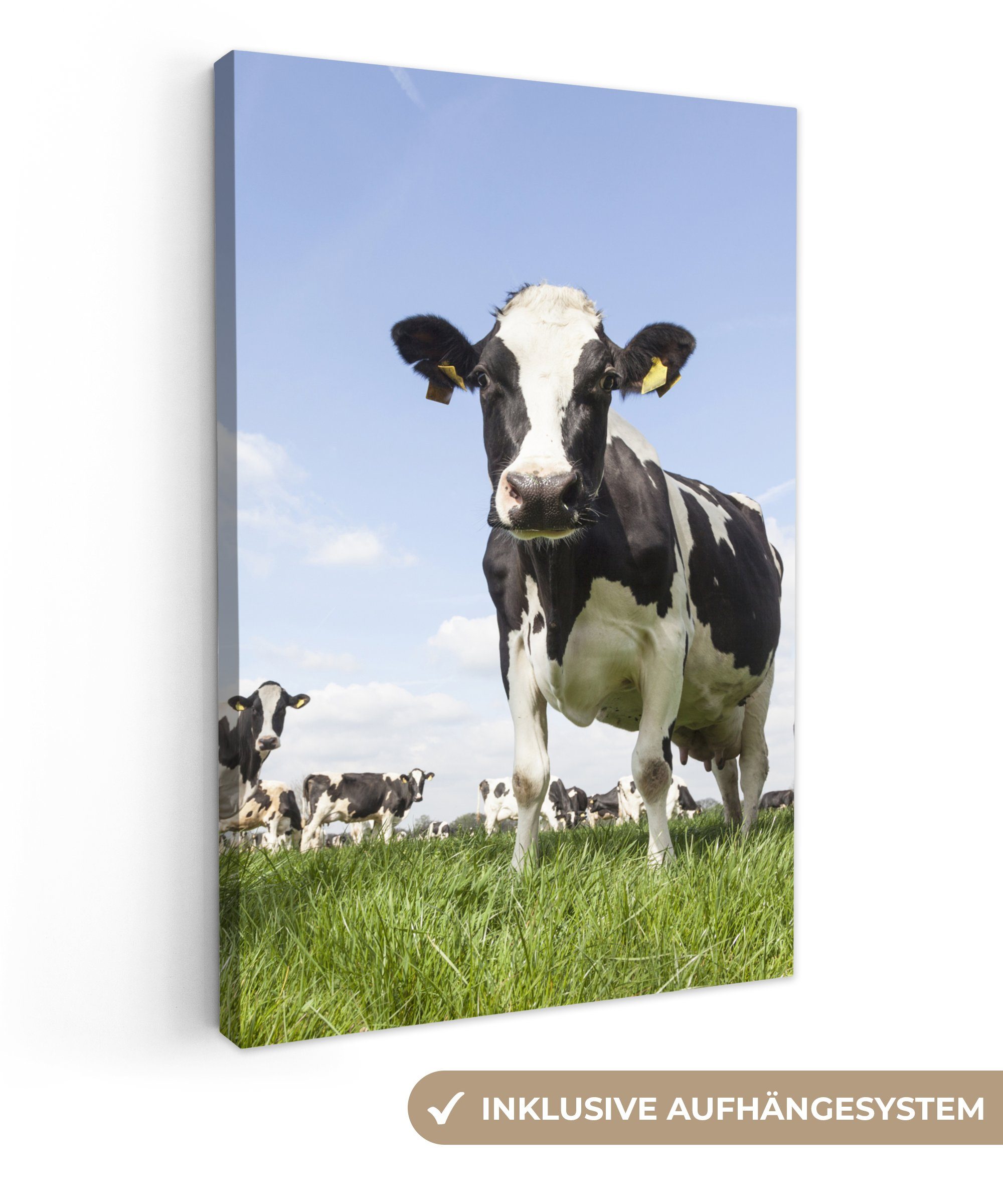 OneMillionCanvasses® Leinwandbild Kühe - Gras - günstig online kaufen