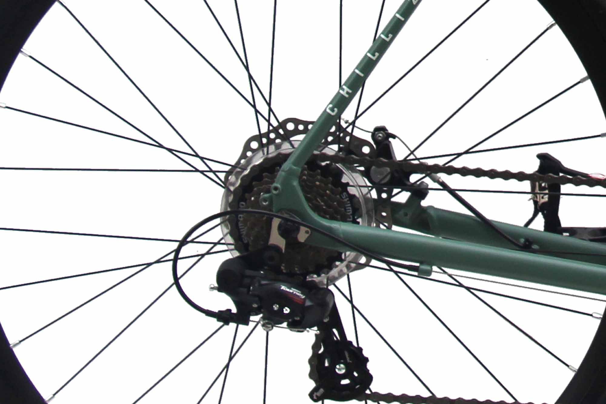CHILLIZ road bike, 28-inch RDB2.1 green, 14-speed Shimano gears, frame size 57 cm, 28mm slick tires, Zoom disc brakes