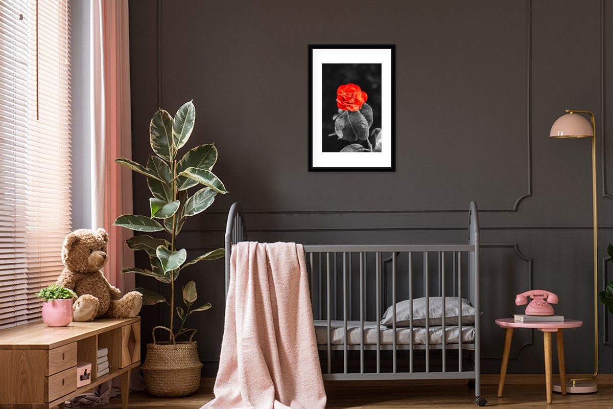 Poster, St), - Rahmen, mit Gerahmtes Weiß Rot, Bilderrahmen - Poster (1 MuchoWow - Kunstdruck, - Rose Schwarz Schwarzem Blumen
