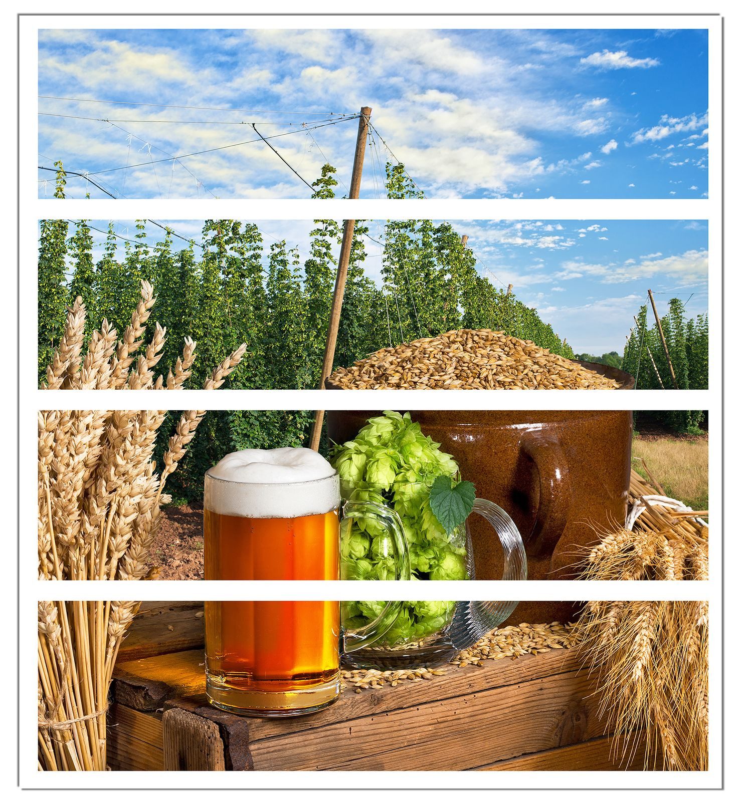 Wallario Möbelfolie Frisch gezapftes Bier, Hopfen und Malz