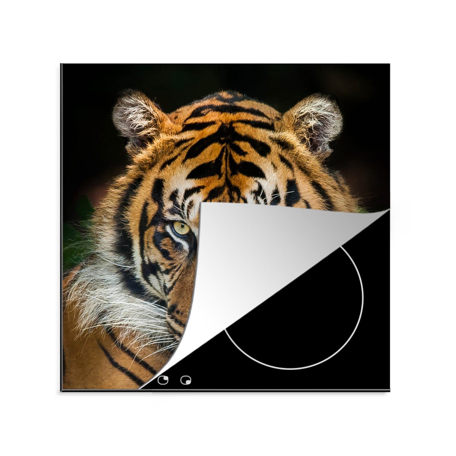 MuchoWow Herdblende-/Abdeckplatte Sumatra-Tiger vor einem schwarzen Hintergrund, Vinyl, (1 tlg), 78x78 cm, Ceranfeldabdeckung, Arbeitsplatte für küche