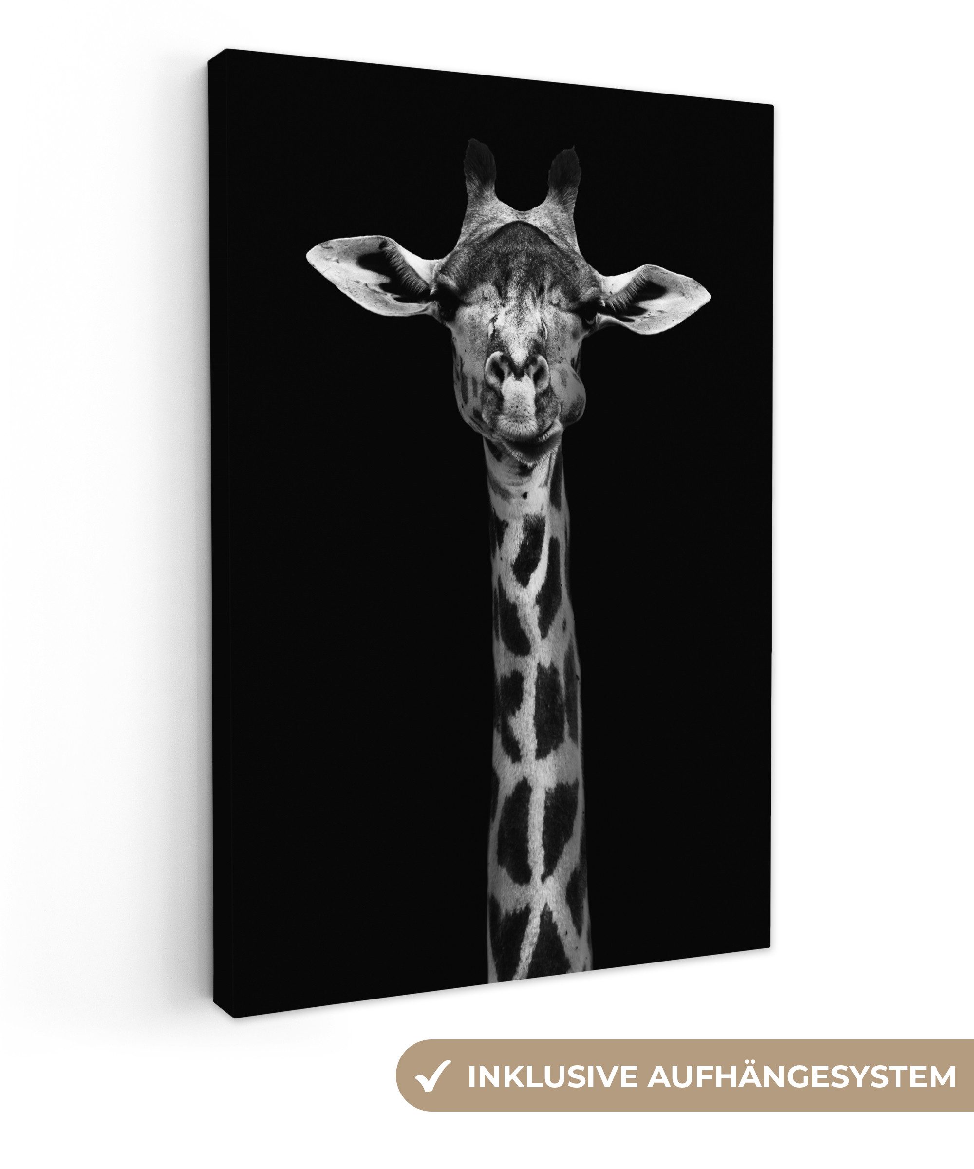 OneMillionCanvasses® Leinwandbild Giraffe - Tiere - Porträt - Schwarz, Fotodruck (1 St), Leinwand Canvas Wandbild, Wanddekoration 20x30 cm