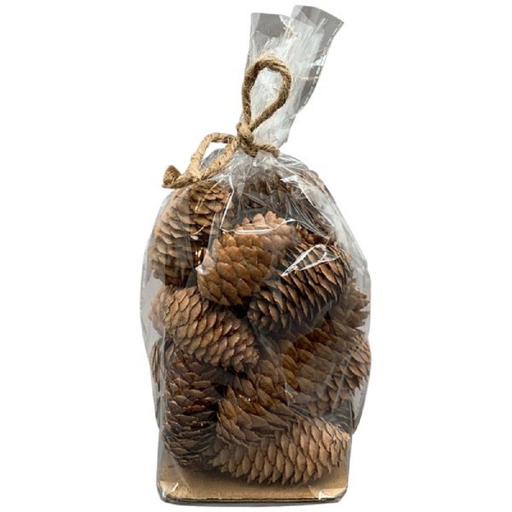 Exner GmbH Garten- & Wohnaccessoires Dekoobjekt Exner Zapfen Aride, natur, Zapfen, 10x14x10 cm, 21 tlg., 257043 (1 St)