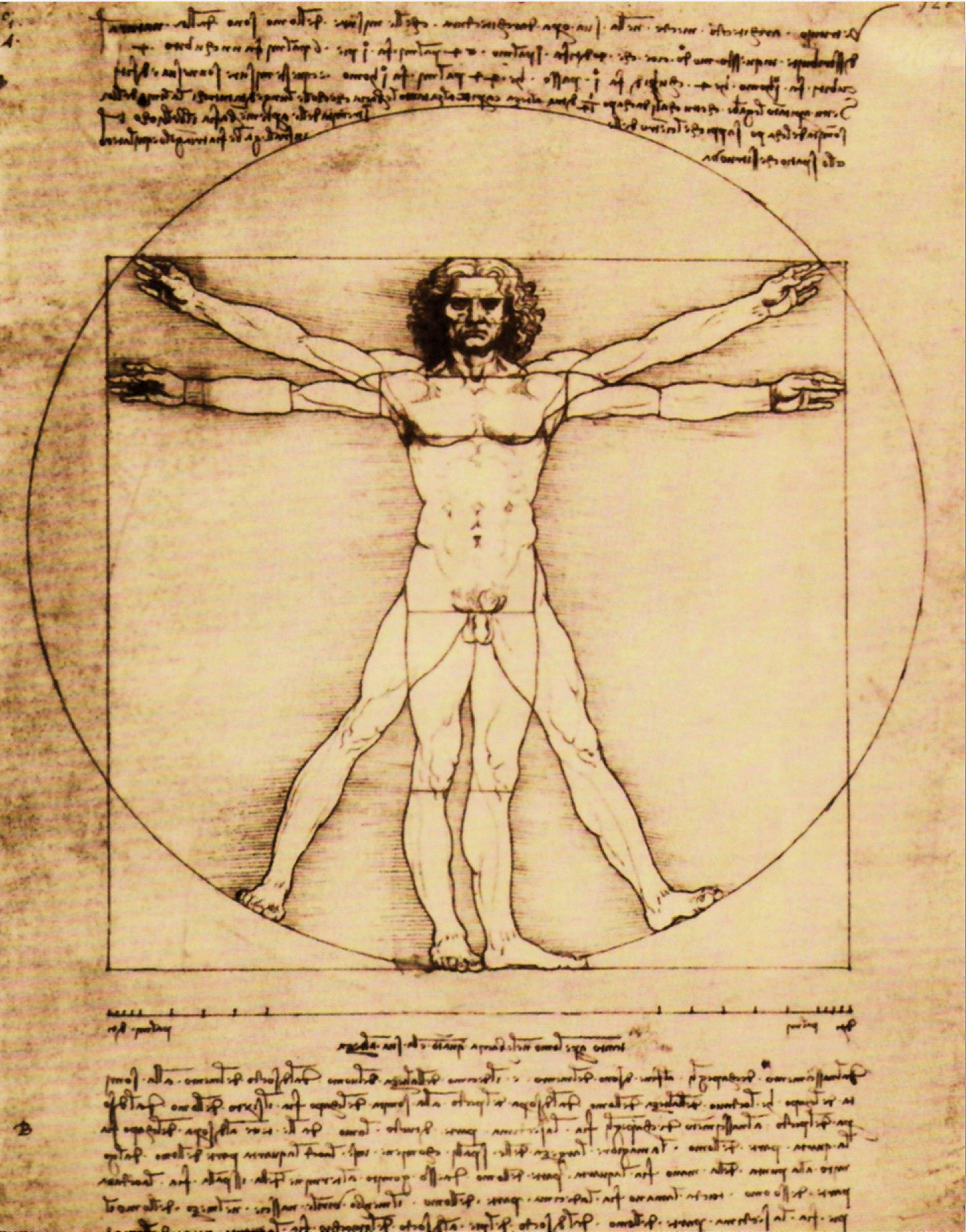 my home Kunstdruck »L.DA VINCI / Schema della Proporzioni«, (1 Stück)-Otto