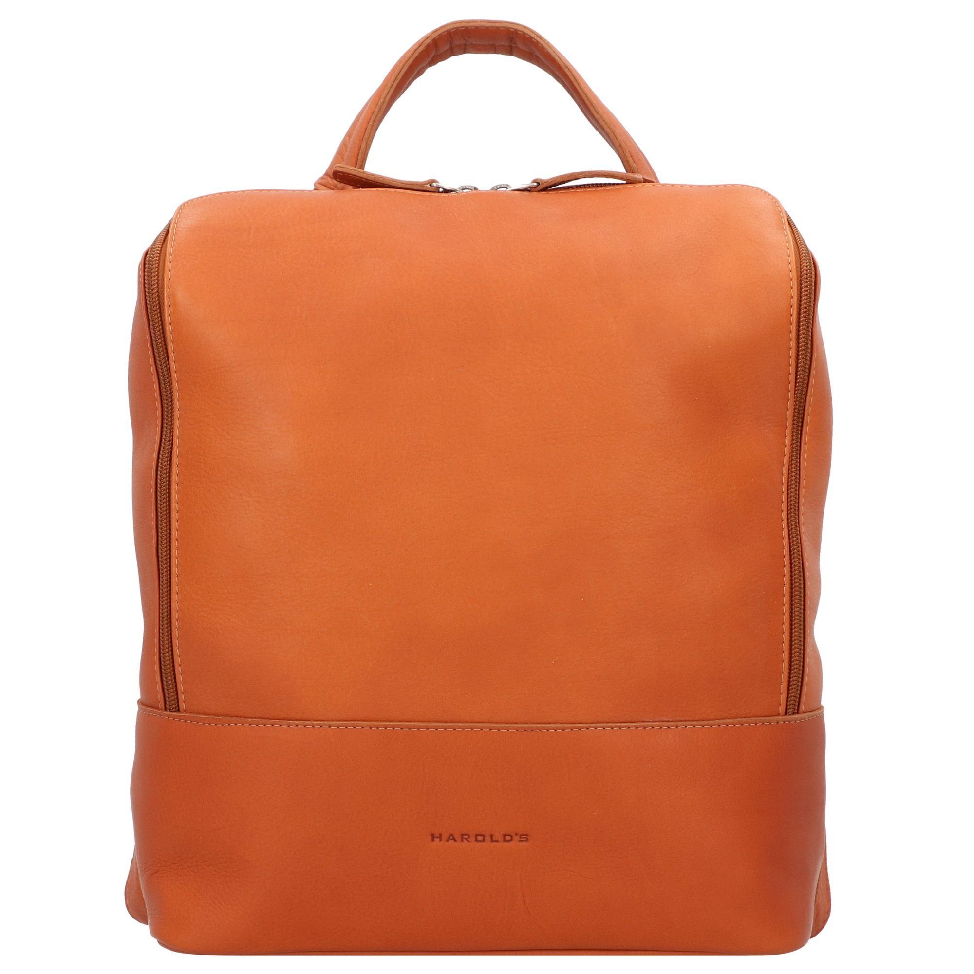 Harold's Laptoprucksack Campo, Leder günstig online kaufen