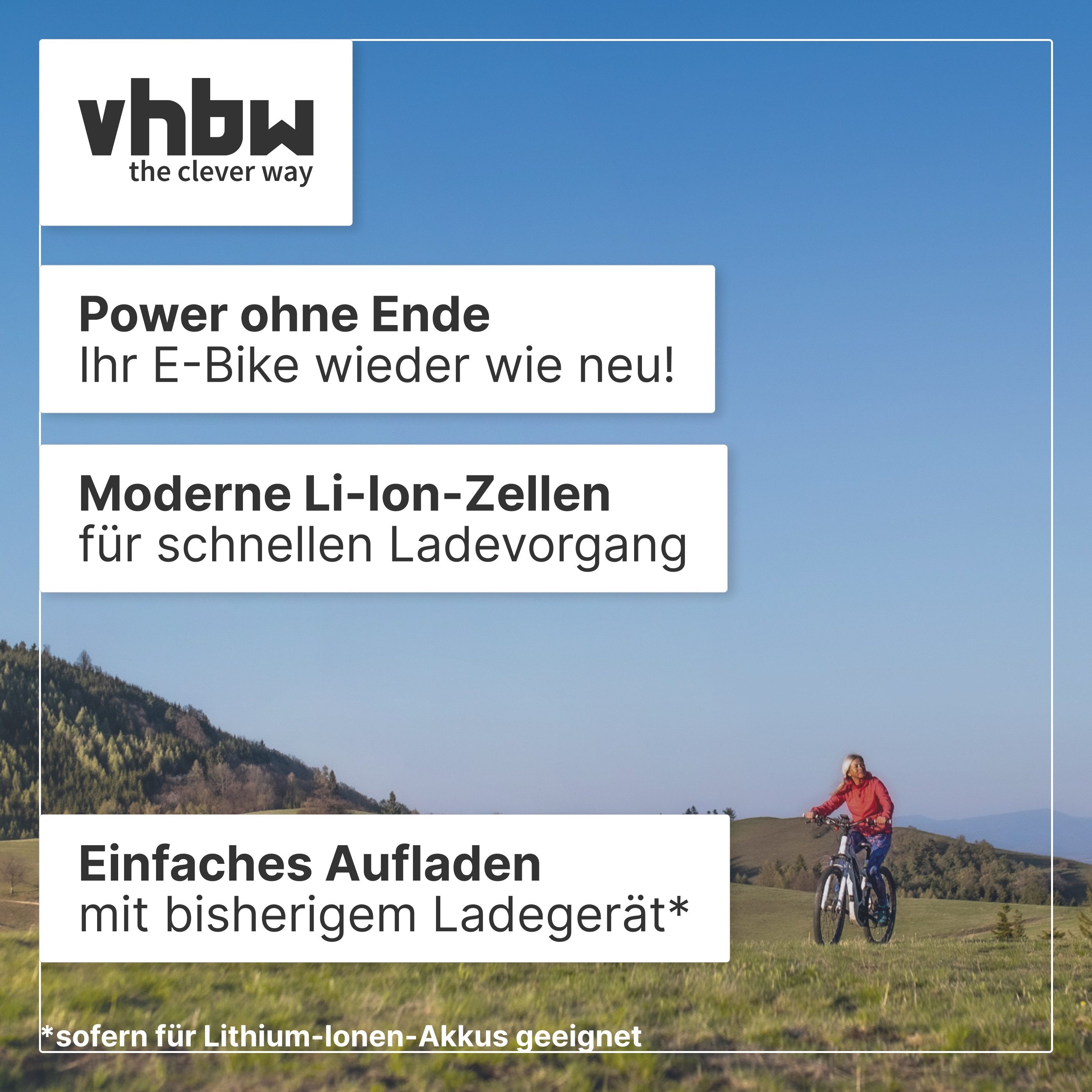 vhbw Akku Ersatz für NKY246B2, NKY252B02, NKY252B2, NKY259B02, NKY231B2, E-Bike Akku Akku Li-Ion 13200 mAh (25,2 V, 1 St), Leistungsfähiger Austausch-Akku für Pedelec, Elektrofahrrad, E-Bike