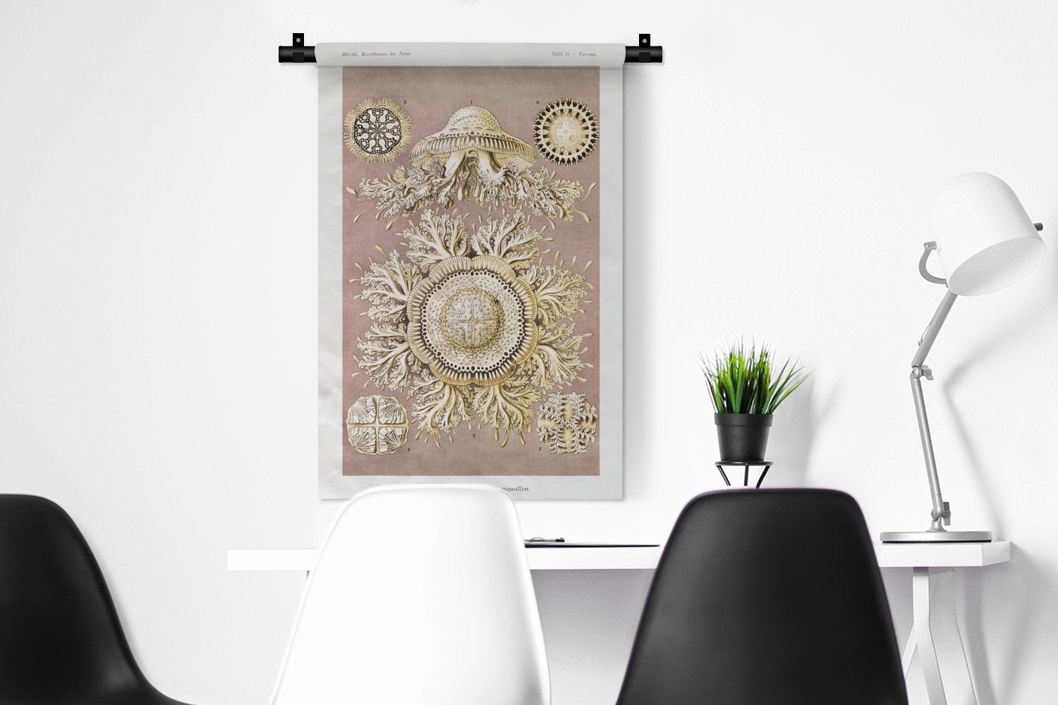 Wohnzimmer, Wandbehang, - für MuchoWow Ernst Kinderzimmer - Qualle Wanddeko Kleid, Haeckel Kunst, Jahrgang - Schlafzimmer, Wanddekoobjekt