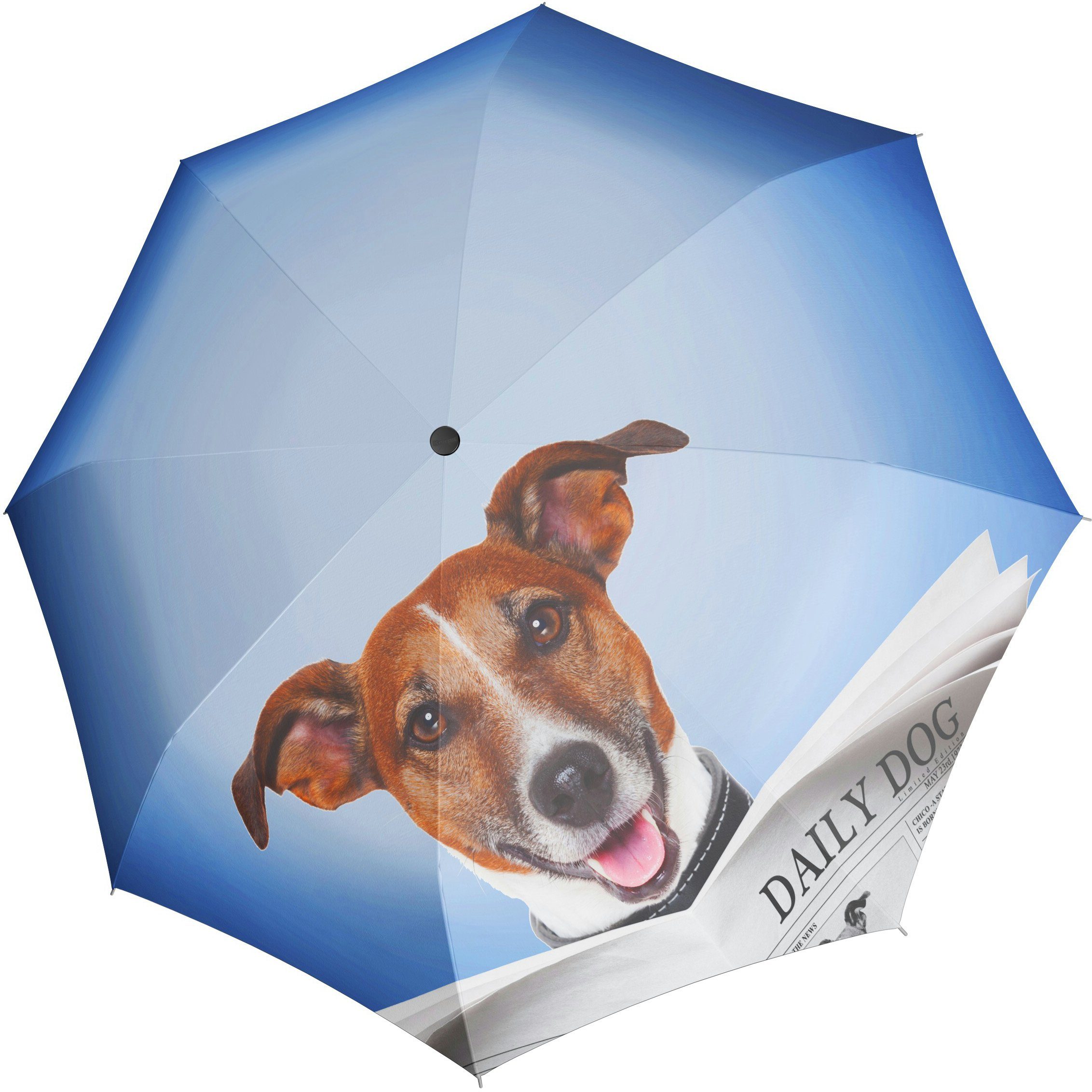 doppler® Taschenregenschirm Modern Art Magic Mini, Daily Dog | Taschenschirme