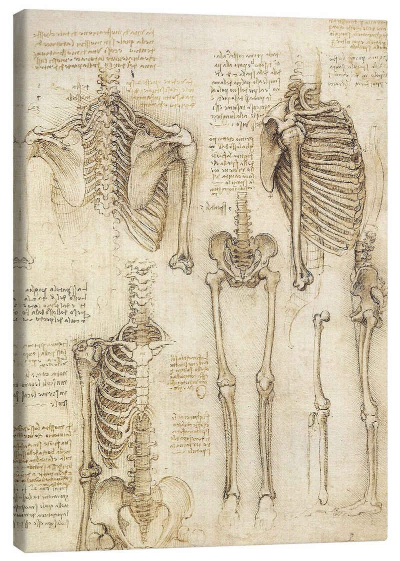 Posterlounge Leinwandbild Leonardo da Vinci, Anatomie-Studie, Skelett, Malerei