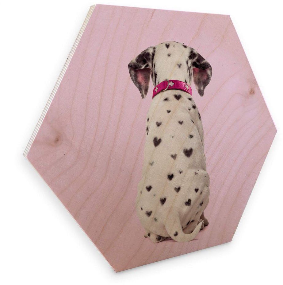 Wall-Art Holzbild Holzbild Bilder, (1 Dalmatiner Hunde St)