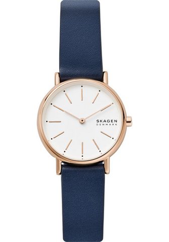 SKAGEN Часы »SIGNATUR SKW2838«