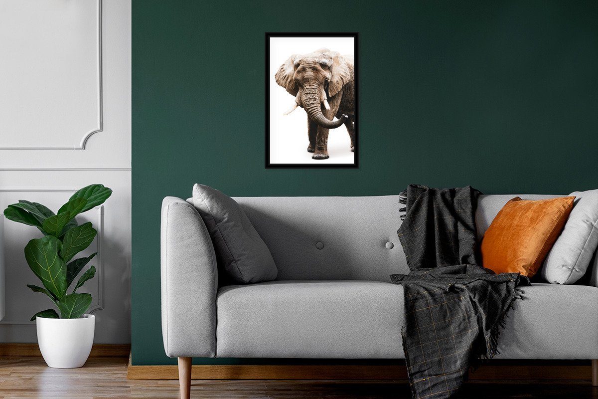 - St), Poster - Bilderrahmen Tiere, MuchoWow (1 Gerahmtes Poster, Wandposter, Weiß Schwarzem Wanddeko, Bilder, Elefant