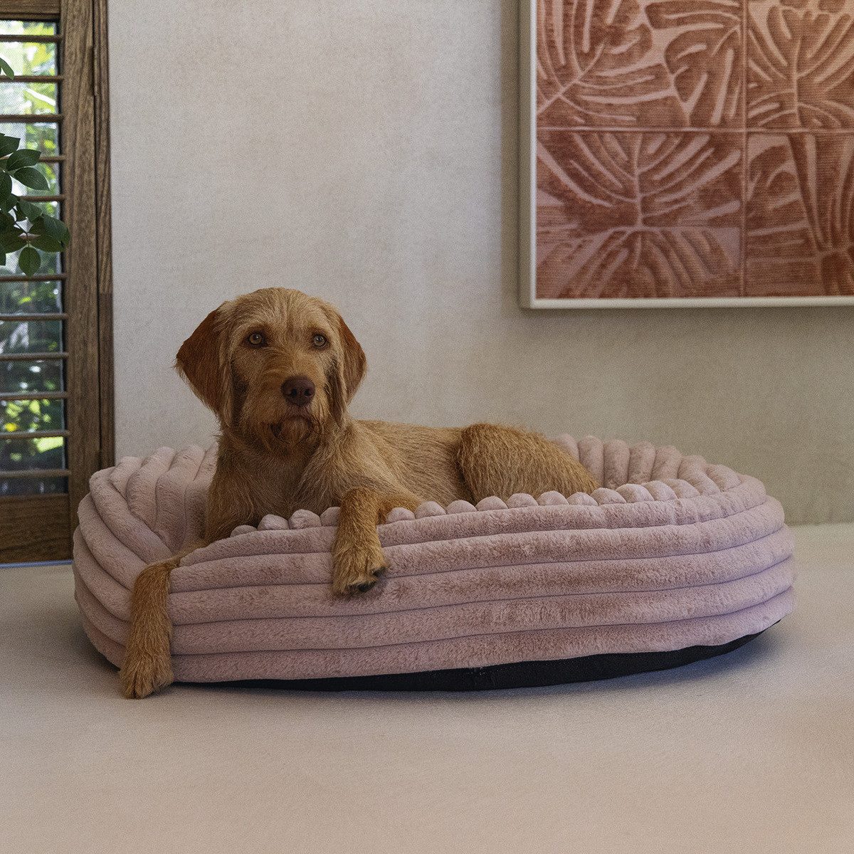 Designed By Lotte Tierkissen Hundekissen Reza günstig online kaufen