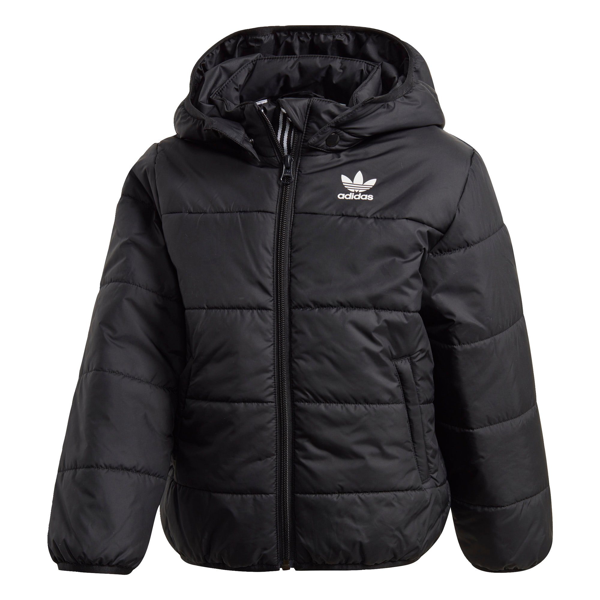 adidas Originals Winterjacke »Jacket«, Regulär geschnitten online kaufen | OTTO