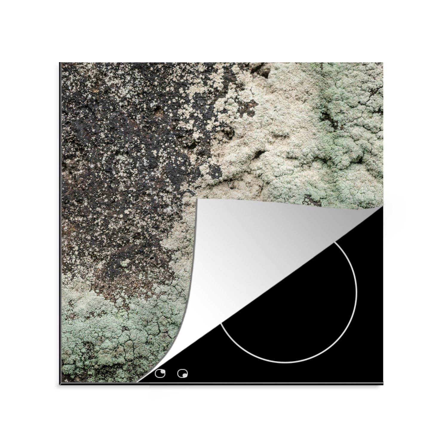 MuchoWow Herdblende-/Abdeckplatte Moos - Grau - Grün, Vinyl, (1 tlg), 78x78 cm, Ceranfeldabdeckung, Arbeitsplatte für küche