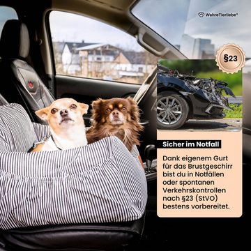 Wahre Tierliebe Hunde-Transportbox Premium Hunde Autositz inkl. Sicherheitsgurt bis 12,00 kg, Verschiedene Größen, Verschiedene Farben