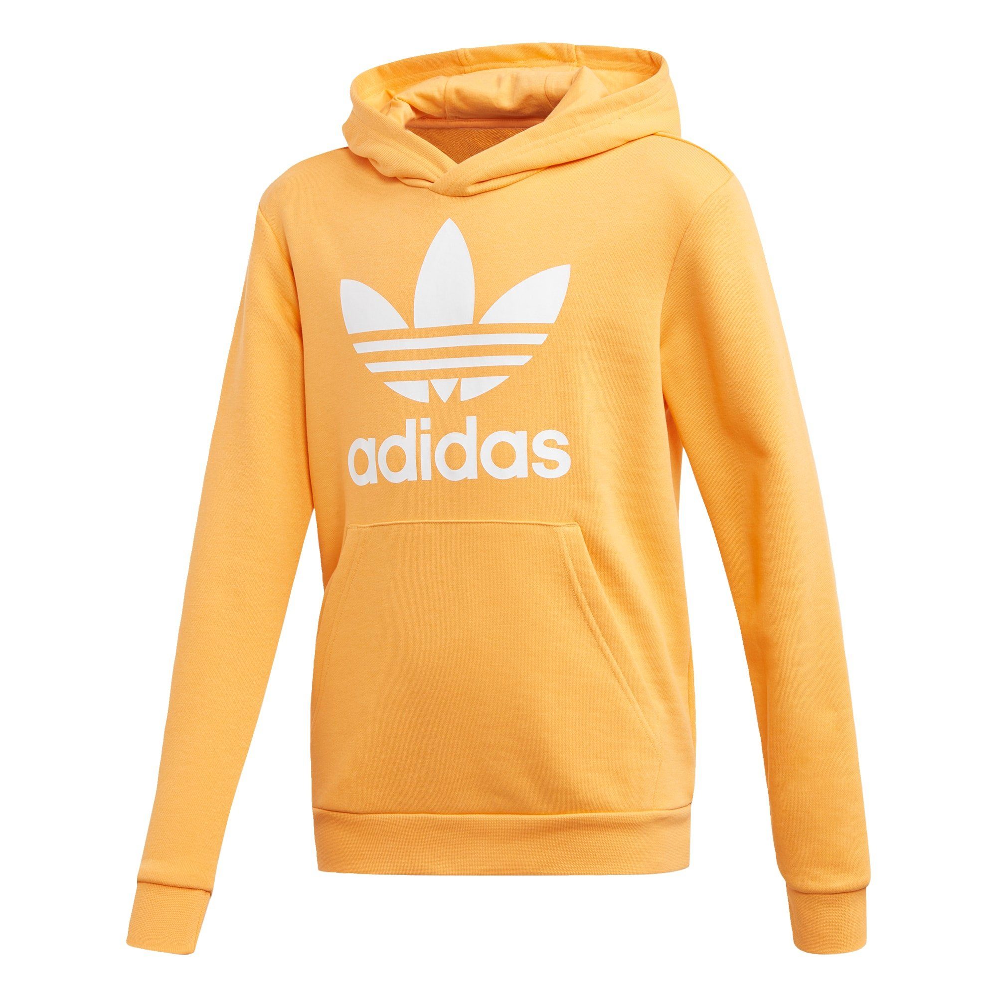 adidas Originals Trainingspullover »Trefoil Hoodie« online kaufen | OTTO