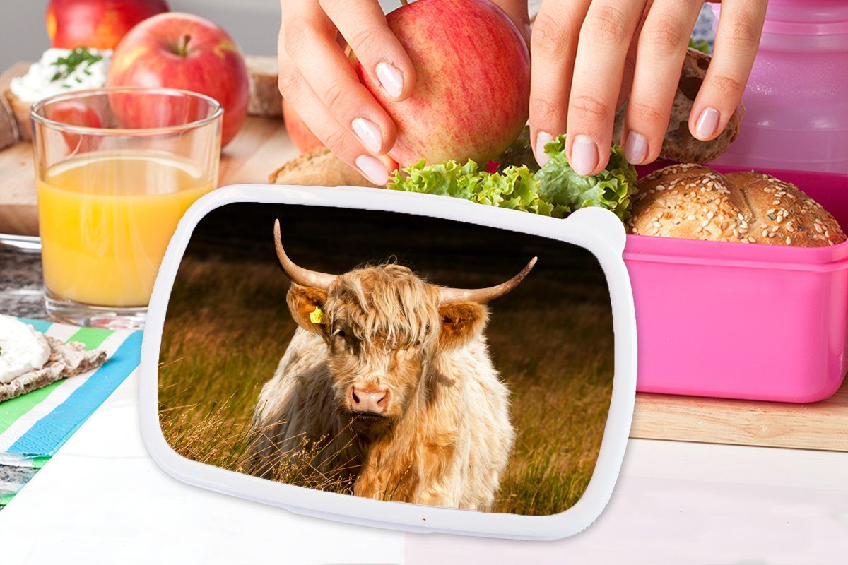 Lunchbox Highlander Kunststoff, - Brotdose Brotbox Snackbox, Schottische Mädchen, für Tiere, Licht - Erwachsene, (2-tlg), MuchoWow rosa - Gras Kinder, Kunststoff