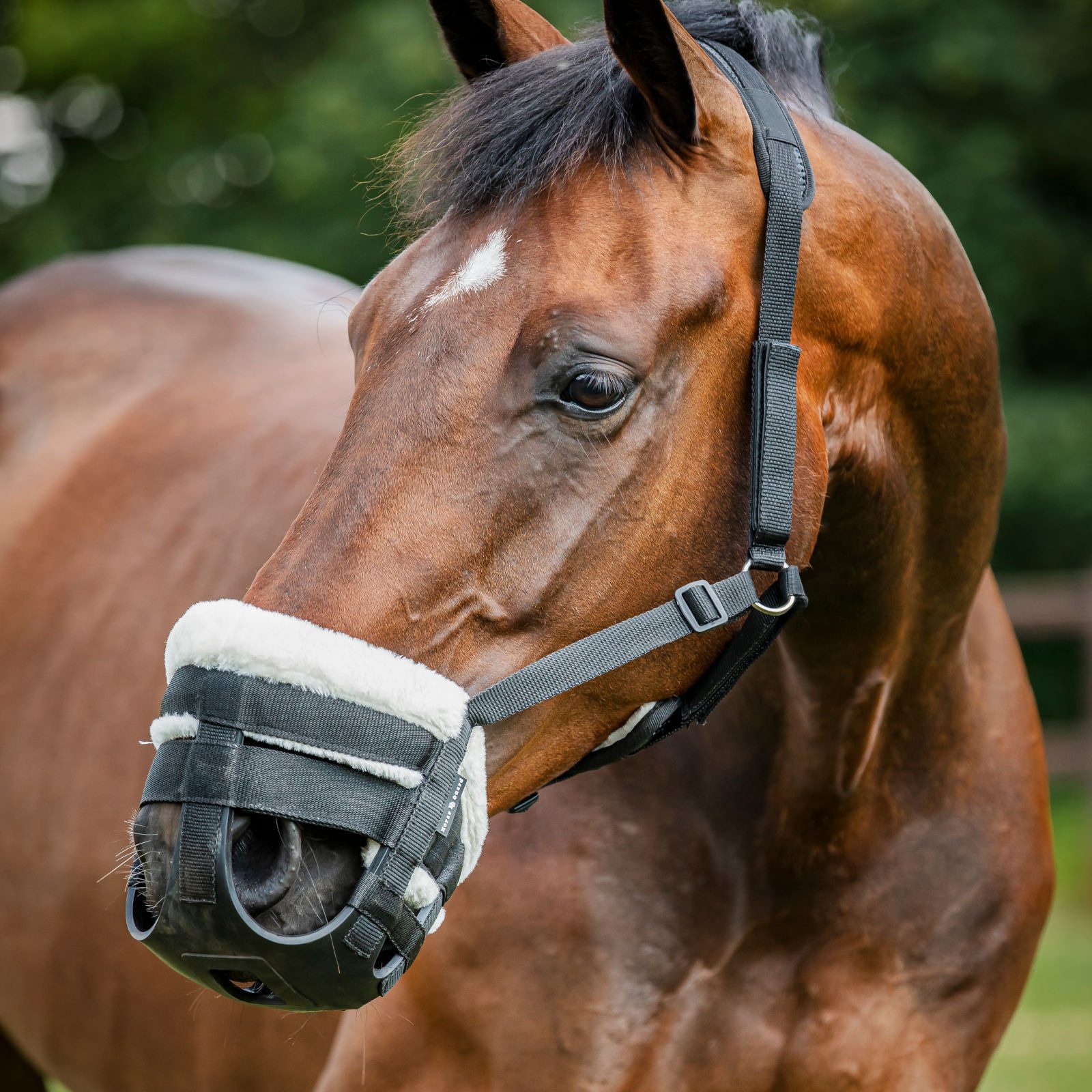Horse Guard Fressbremse HorseGuard Easy Breathe Weidemaulkorb für Pferde, schwarz, Pony